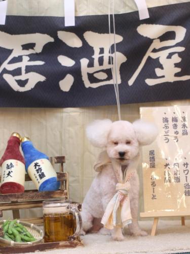 20240627あんちゃん